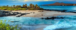 Discover the unique wildlife of the Galapagos Islands.